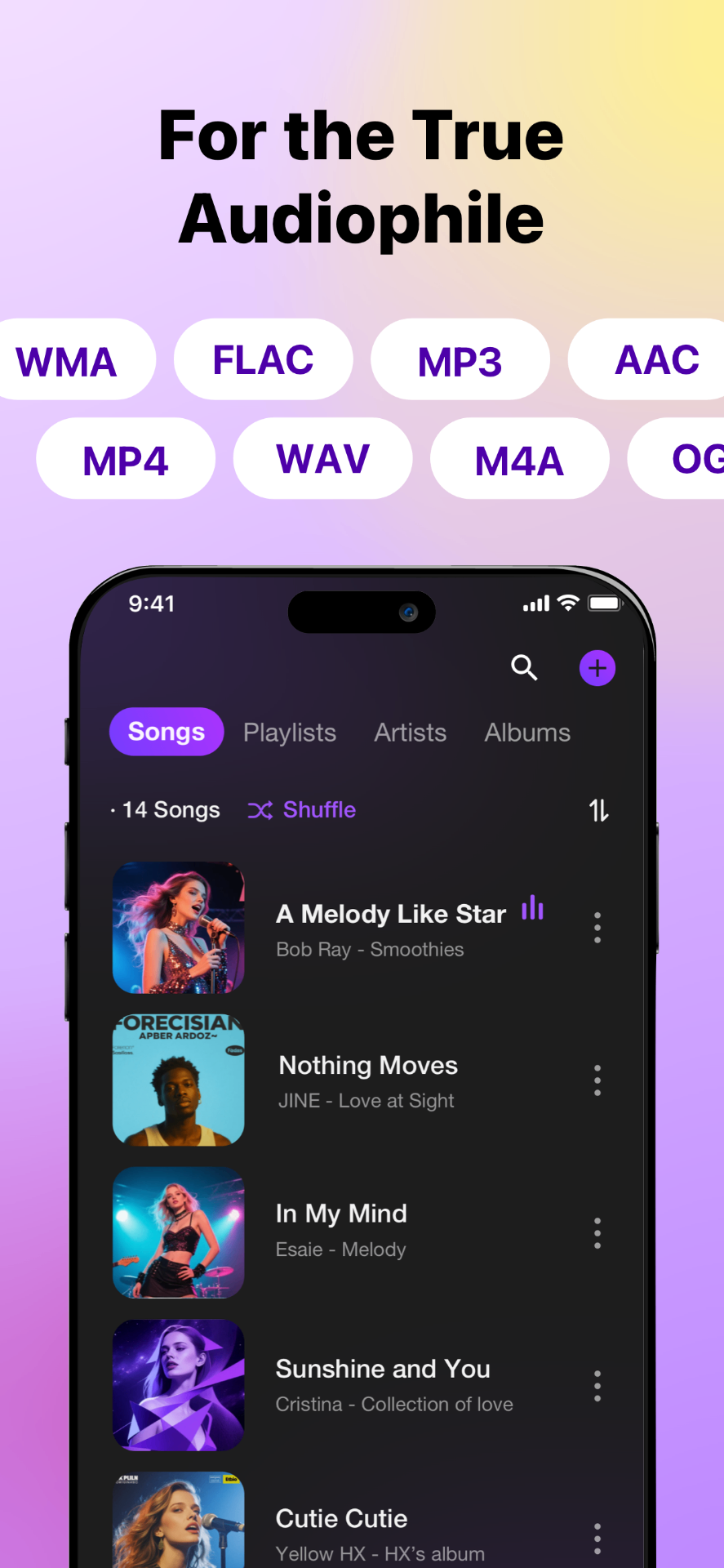 SonaPlay offline music player - high-resolution audio playback for audiophiles